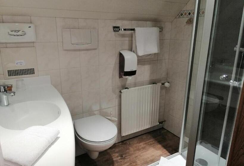 스탠다드 룸, Land Gut Hotel Zur Brücke