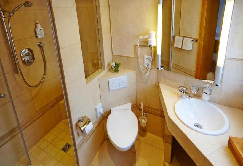 스탠다드 싱글 룸, Landgasthof Seemer