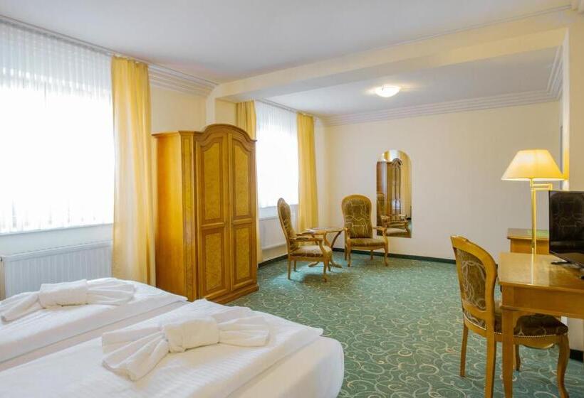 Номер Стандарт, Erzgebirgshotel Freiberger Höhe