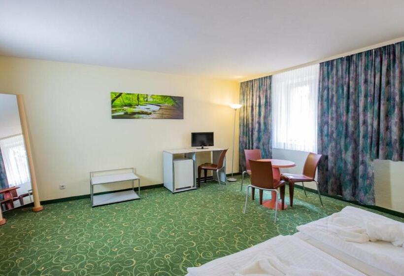 חדר סטנדרט לשלושה, Erzgebirgshotel Freiberger Höhe