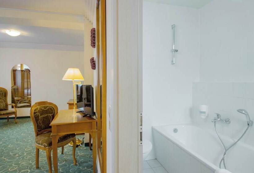 חדר סטנדרט, Erzgebirgshotel Freiberger Höhe