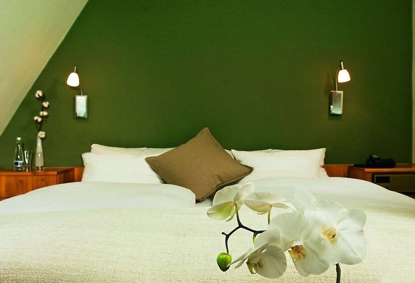 اتاق استاندارد, Gasthaus Zum Ochsen