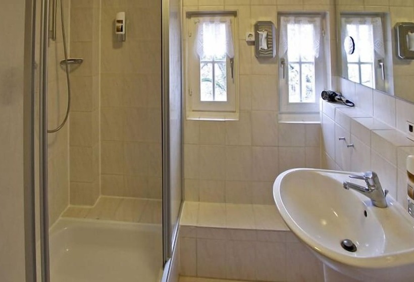 اتاق استاندارد یک نفره, Gasthaus Zum Ochsen