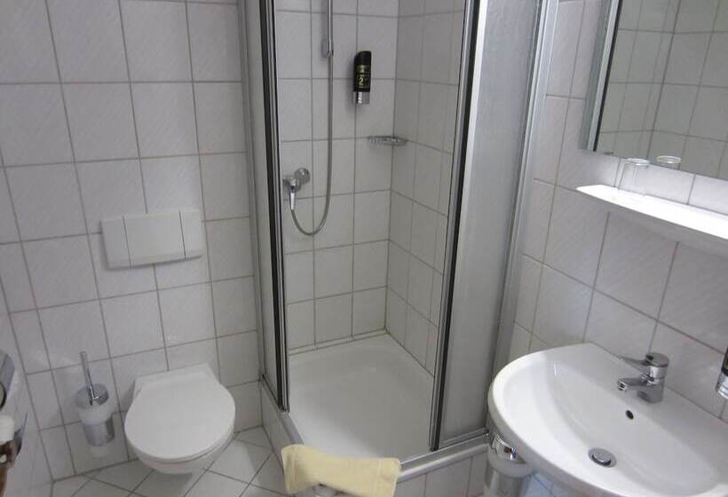 חדר סטנדרט יחיד, Germersheimer Hof