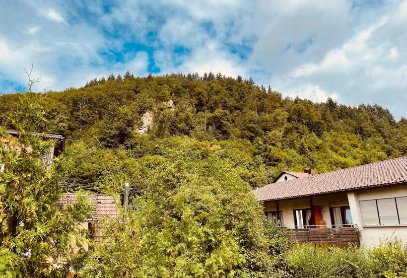 小型套房带阳台, Restaurant Adler Stube