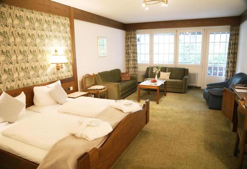 小型套房带阳台, Restaurant Adler Stube