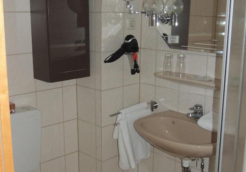 غرفة قياسية فردية, Stadt Munster