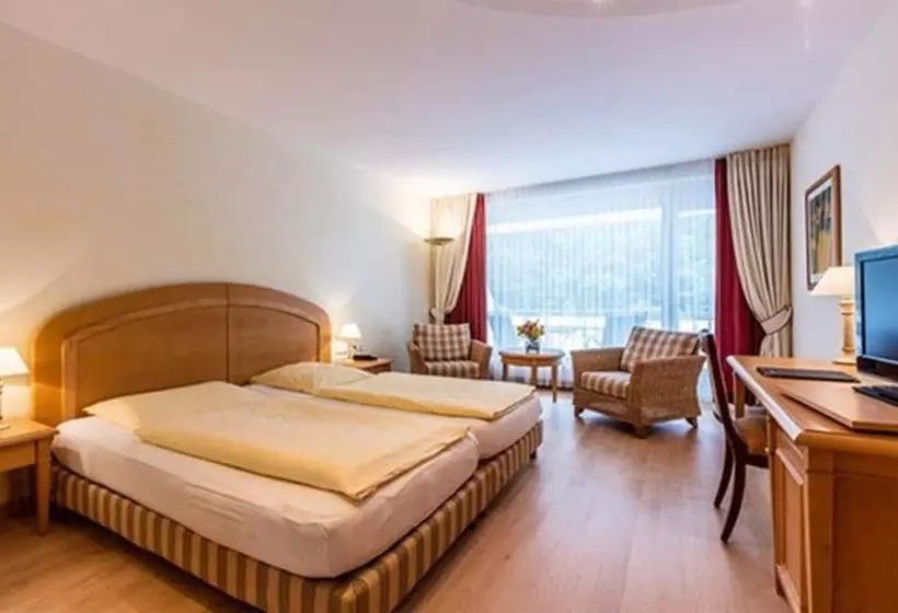 Superior Room, Waldhotel Bad Sulzburg