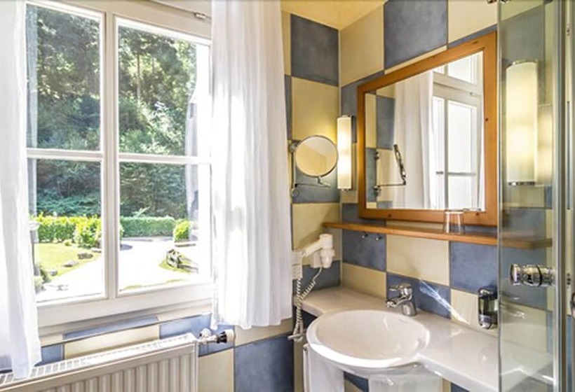 Номер Стандарт Индивидуальный, Waldhotel Bad Sulzburg