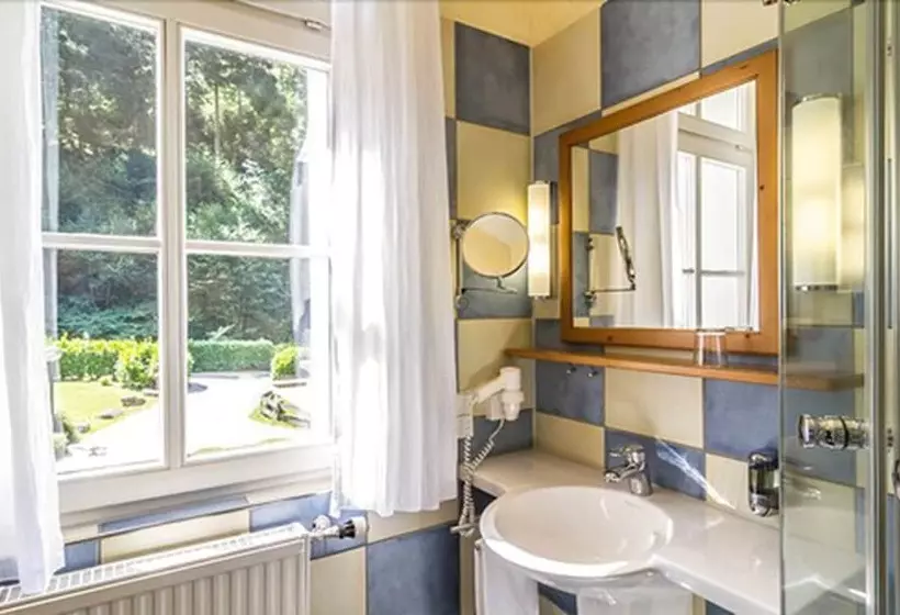 Standard Single Room, Waldhotel Bad Sulzburg
