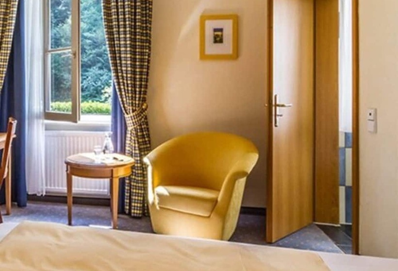 스탠다드 싱글 룸, Waldhotel Bad Sulzburg