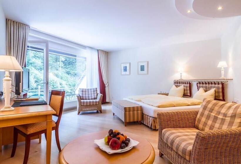 디럭스 룸, Waldhotel Bad Sulzburg