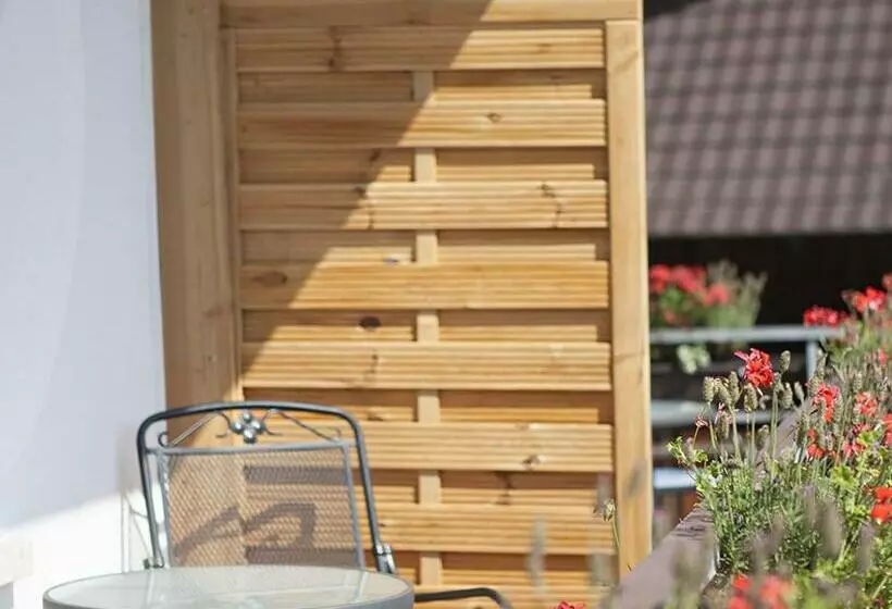 Standard Yhden Hengen Huone, Landhotel Graf