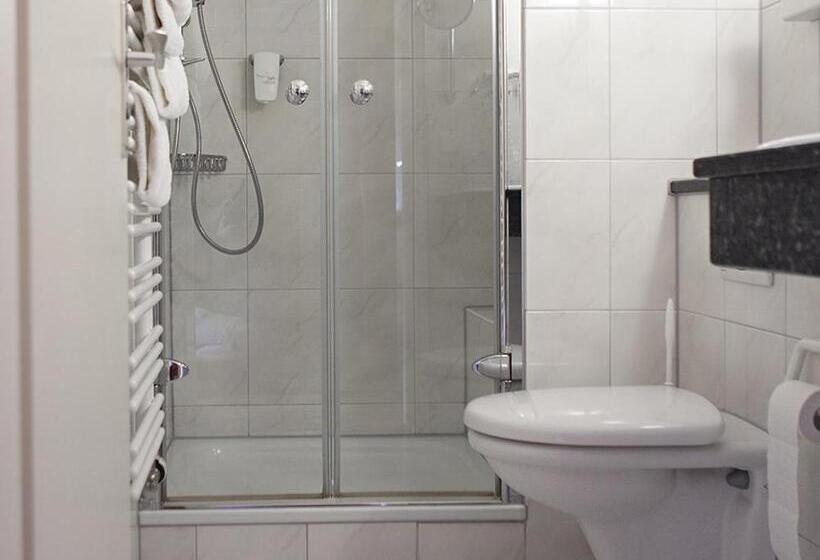 חדר סטנדרט, Landhotel Graf