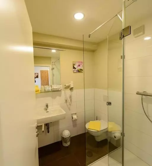 Standard Yhden Hengen Huone, Gasthof Hotel Zum Rebstock