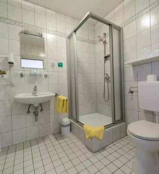 Standard Yhden Hengen Huone, Gasthof Hotel Zum Rebstock