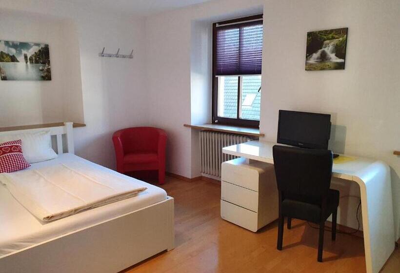 חדר אקונומי יחיד, Gasthof Hotel Zum Rebstock