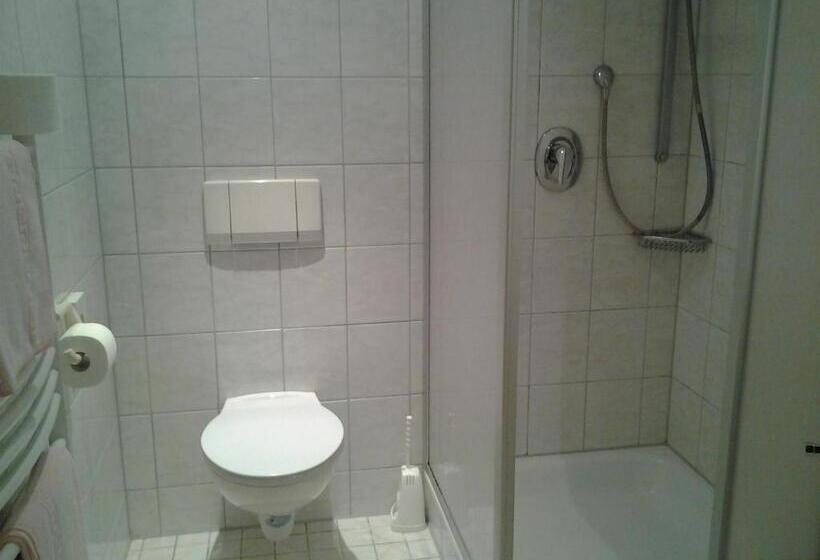 חדר סטנדרט יחיד, Heidehotel Herrenbrücke