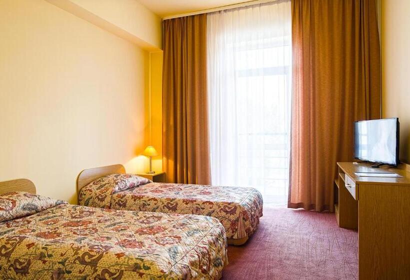 غرفة قياسية, Accademia