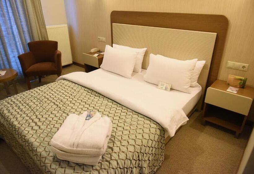 スタンダードルーム, Baliktasi City