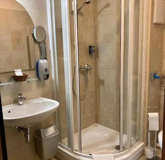 اتاق اکونومی یک تخته, Bassiana Hotel Es Etterem