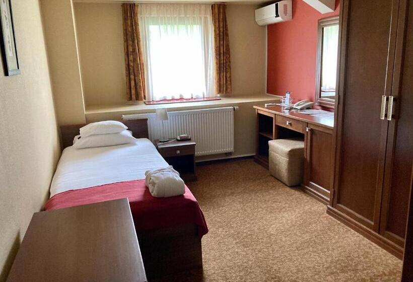 اتاق اکونومی یک تخته, Bassiana Hotel Es Etterem