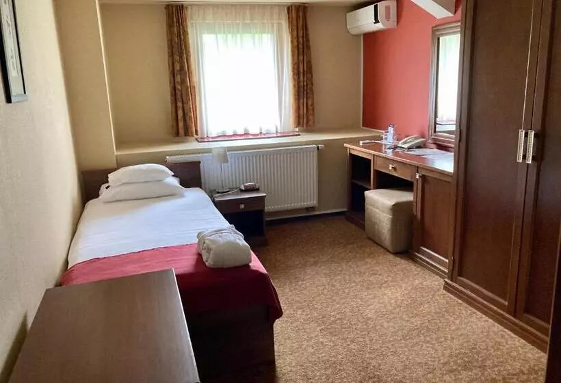 اتاق اکونومی یک تخته, Bassiana Hotel Es Etterem