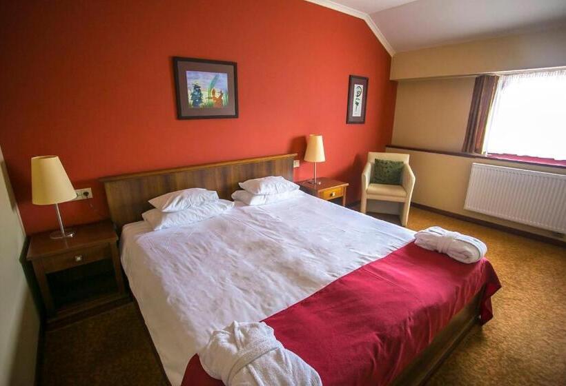 اتاق کلاسیک, Bassiana Hotel Es Etterem