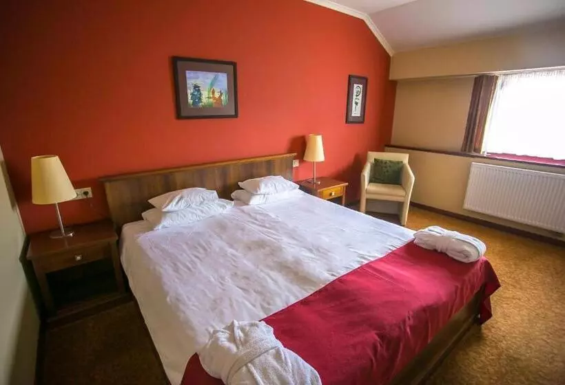 اتاق کلاسیک, Bassiana Hotel Es Etterem