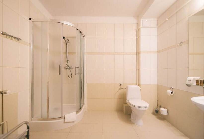 اتاق استاندارد, Forum