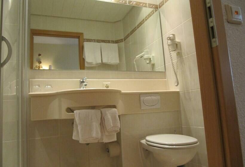 スタンダードルーム, Landhotel Zum Ochsen