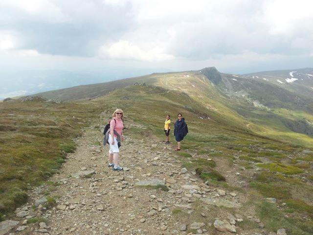 Номер Стандарт с Балконом, Panoramadorf Saualpe