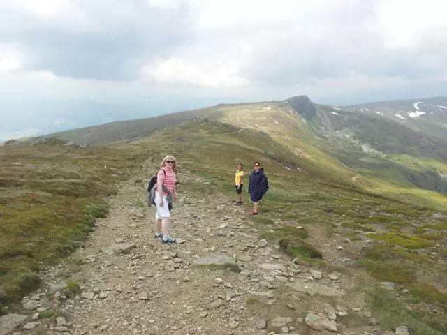 バルコニー付きスタンダードルーム, Panoramadorf Saualpe