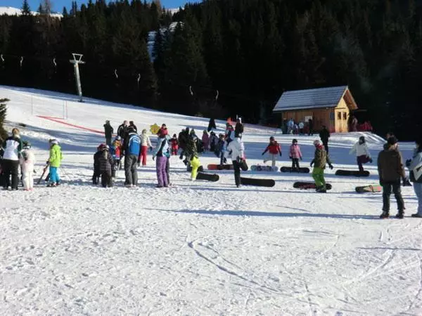 バルコニー付きスタンダードルーム, Panoramadorf Saualpe