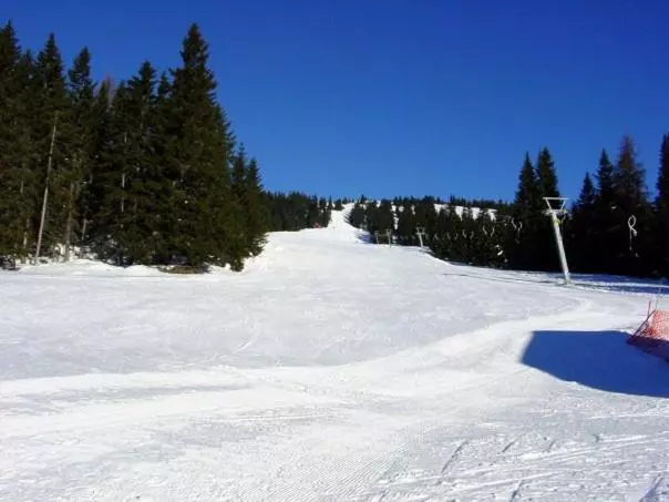 バルコニー付きスタンダードルーム, Panoramadorf Saualpe