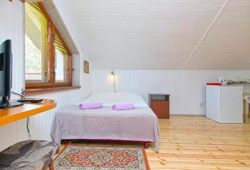 Standard Neljän Hengen Huone, Villa Linne
