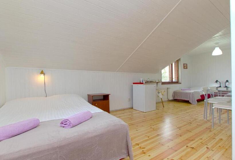 اتاق استاندارد چهار تخته, Villa Linne