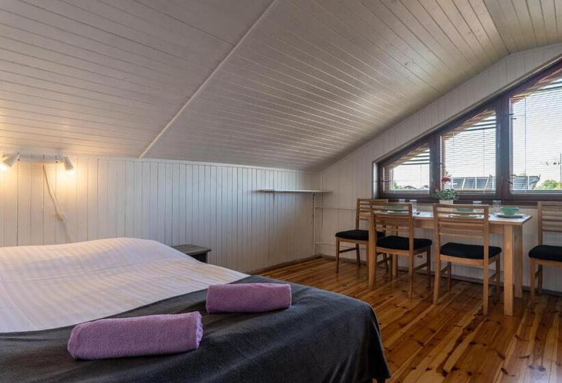 Студия Стандарт, Villa Linne