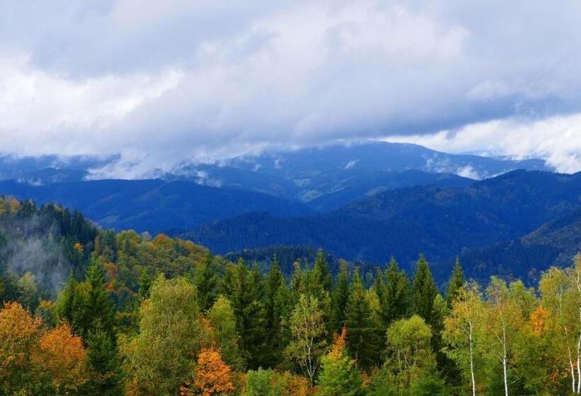 غرفة سوبيريور, Landhotel Basler Hof