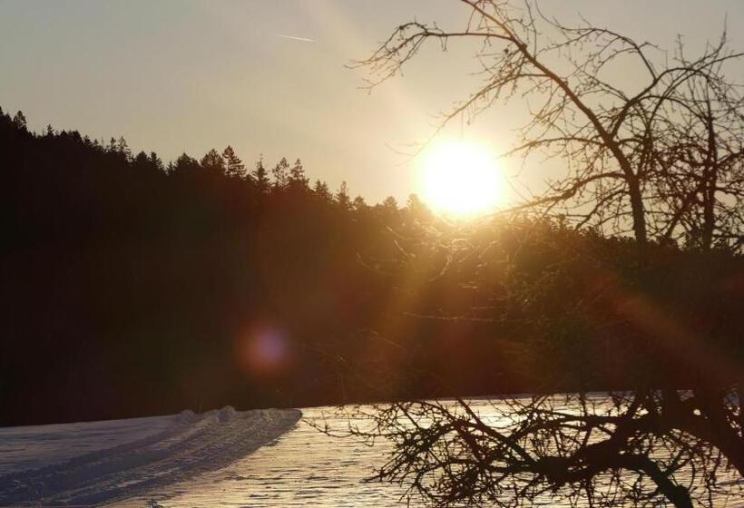 غرفة كومفورت, Landhotel Basler Hof