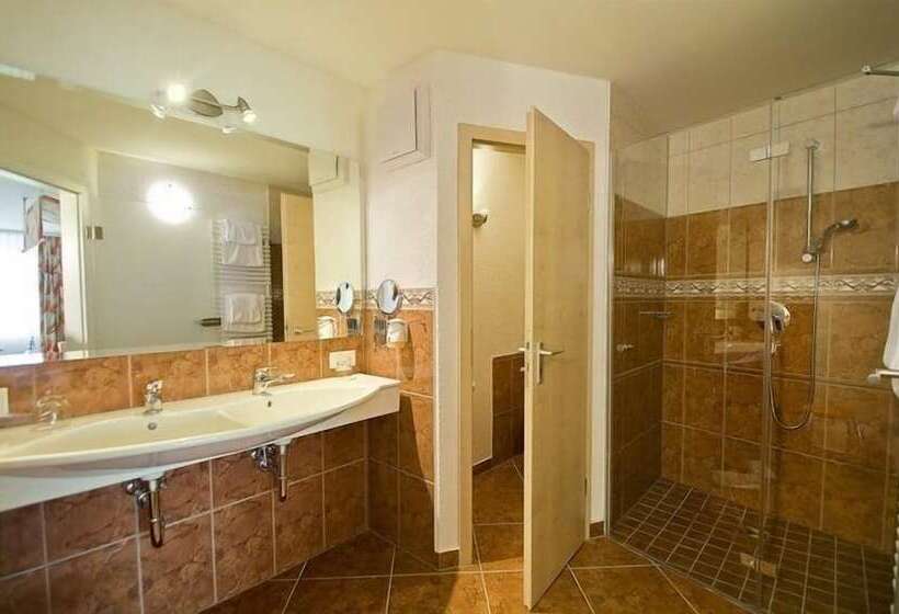 غرفة ديلوكس, Landhotel Basler Hof