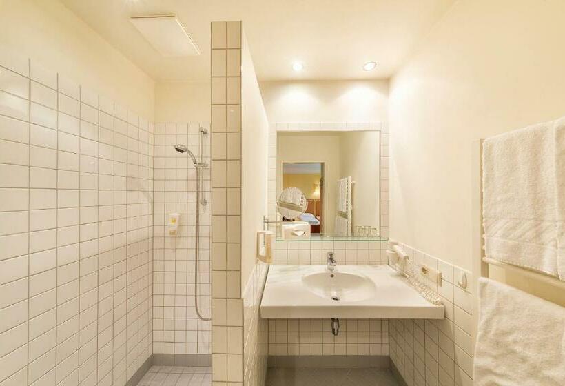 غرفة قياسية, Landhotel Rosentaler Hof