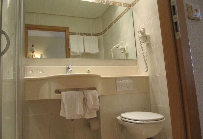 スタンダードルーム, Landhotel Zum Ochsen