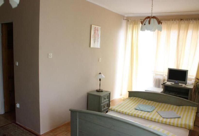 スタンダードシングルルーム, Mister