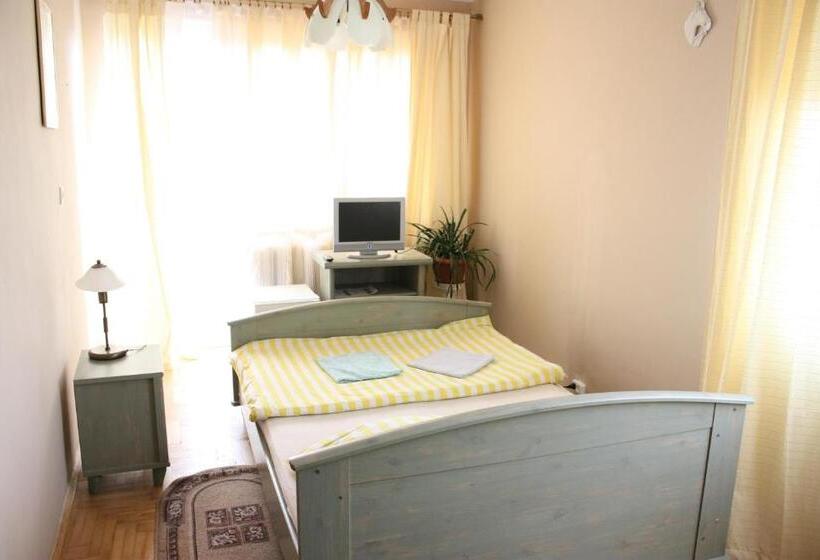 スタンダードシングルルーム, Mister