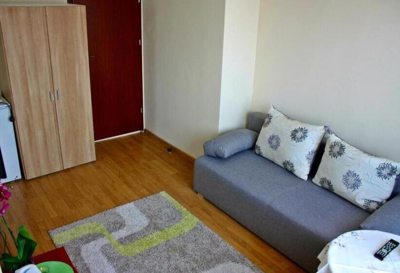 スタンダードルーム, Mister