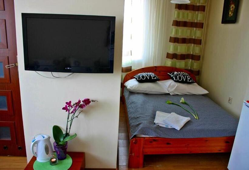 スタンダードルーム, Mister