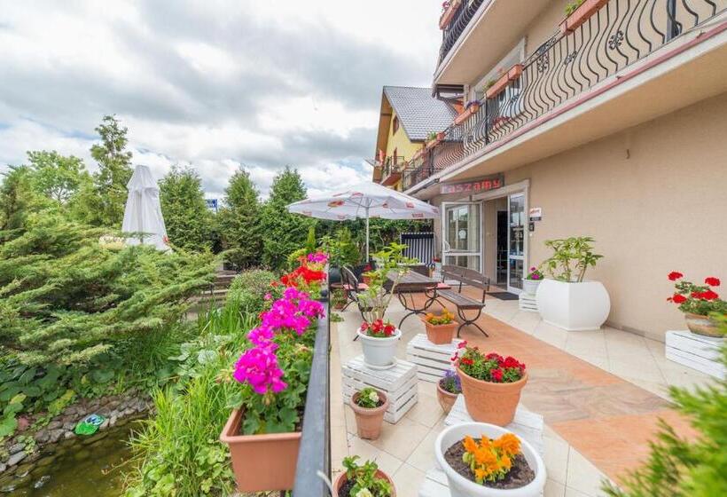 １ベッドルームアパートメント, Mister