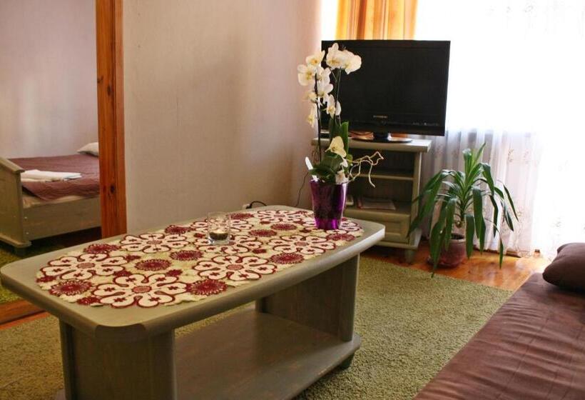 １ベッドルームアパートメント, Mister