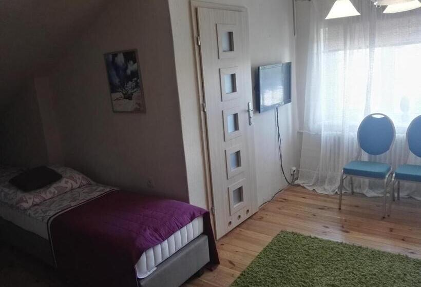 エコノミー４人部屋, Mister